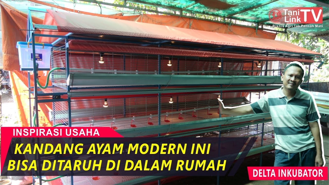 Kandang Ayam Mewah dan Modern Cocok Untuk Lahan Sempit