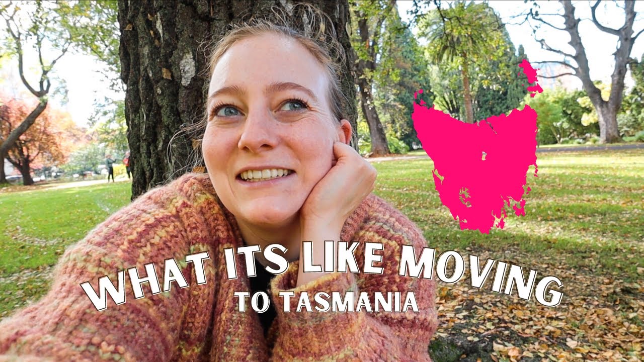 UPDATE on my Masters Thesis on Australian fur seals + being social in Hobart, Tasmania