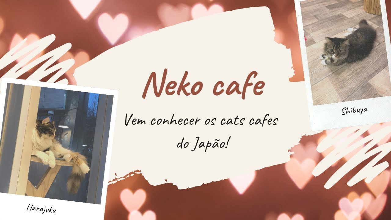 Conheça os Neko Cafe/Cat Cafe!