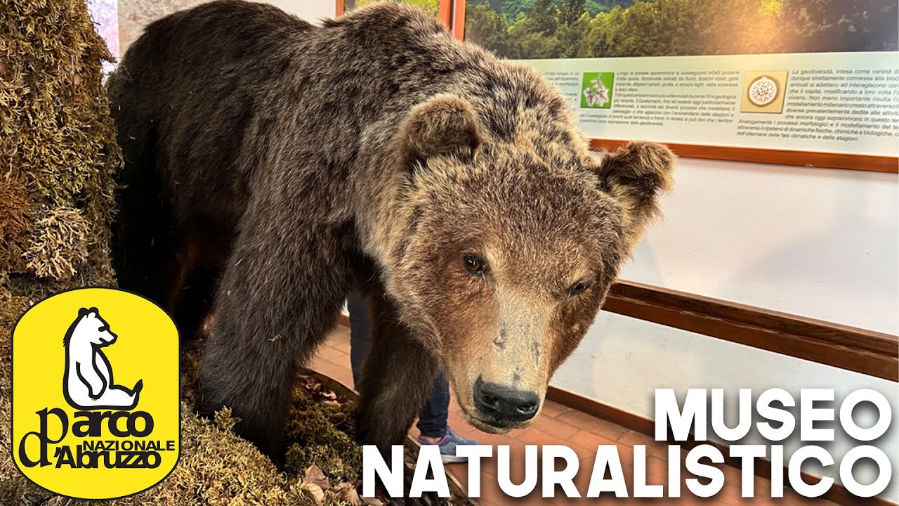 VISITA AL MUSEO DEL PARCO NAZIONALE D'ABRUZZO - Vlog 2 [Parco Nazionale d'Abruzzo Lazio e Molise]