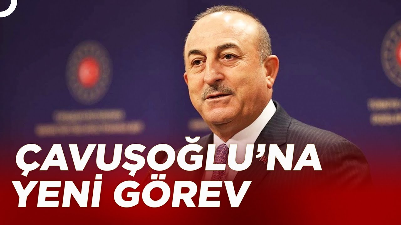 Mevlüt Çavuşoğlu NATO PA'da Türk Delegasyon Başkanı Oldu | TV100 Haber