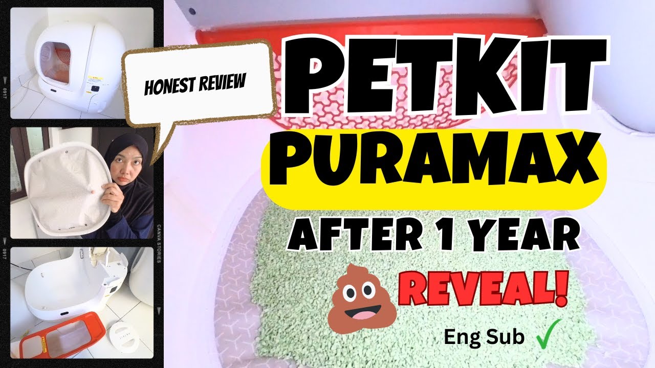 Petkit Puramax 1 Year After ⚠️ DEEP CLEAN & TIPS