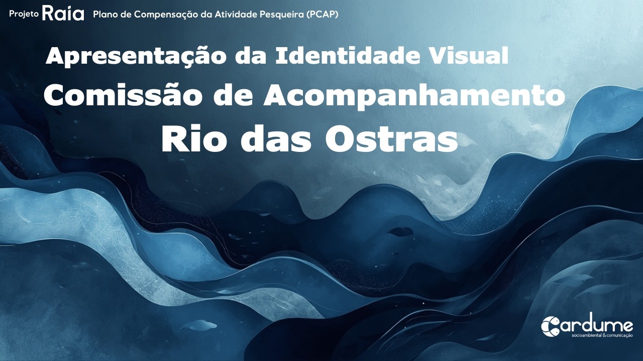 Identidade Visual Comissão de Acompanhamento de Rio das Ostras - PCAP Projeto Raia