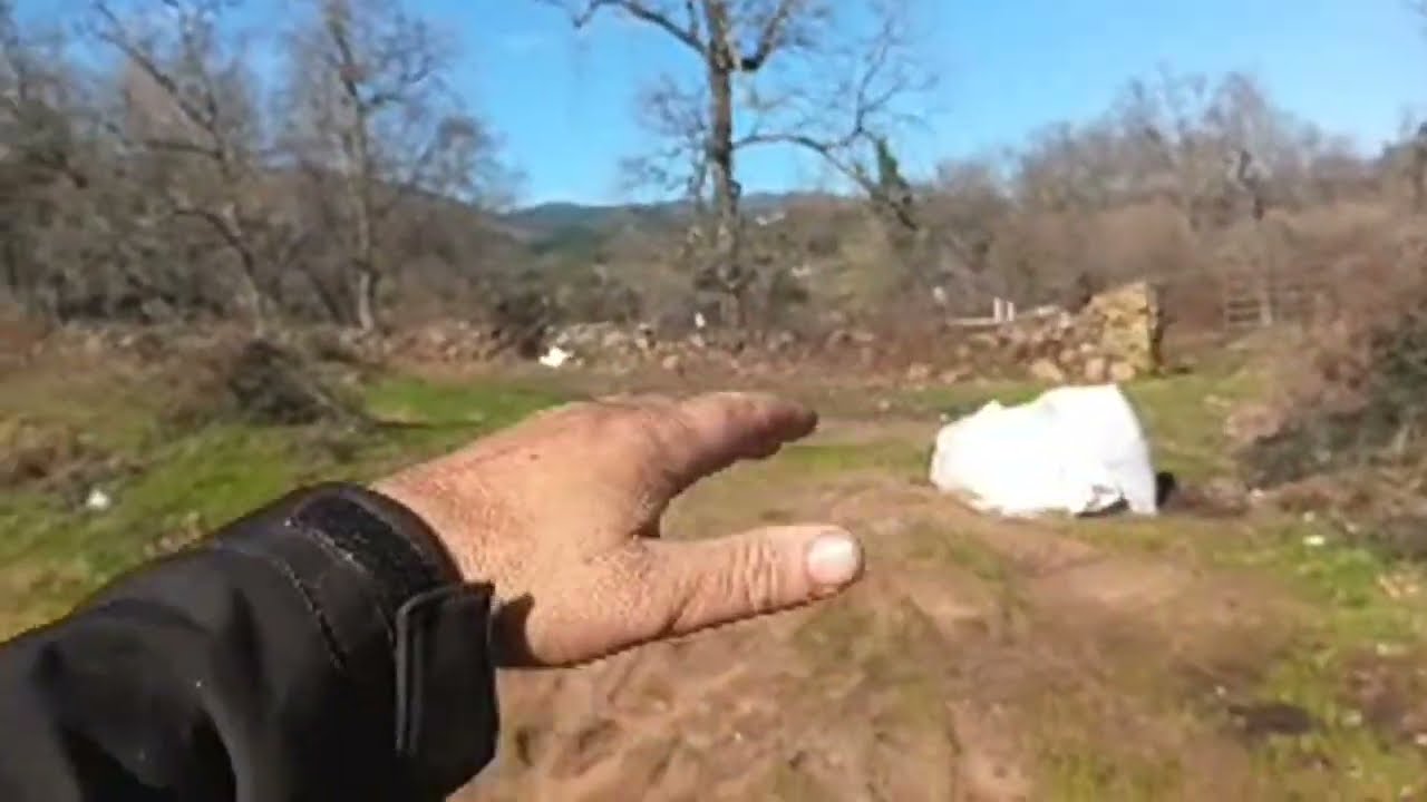 qué tarde más buena