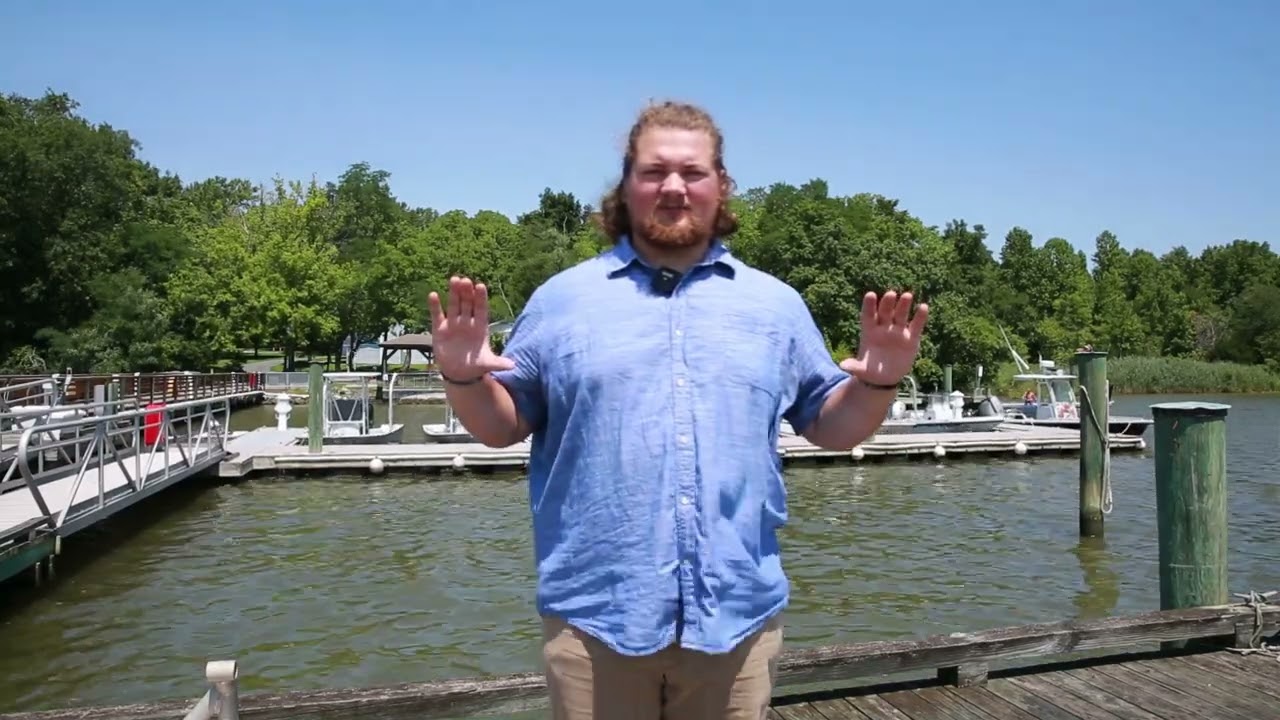 The Chesapeake Bay Parasite Projects (mud crabs)
