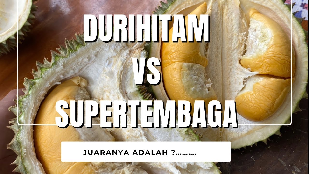 SUPERTEMBAGA VS DURIHITAM