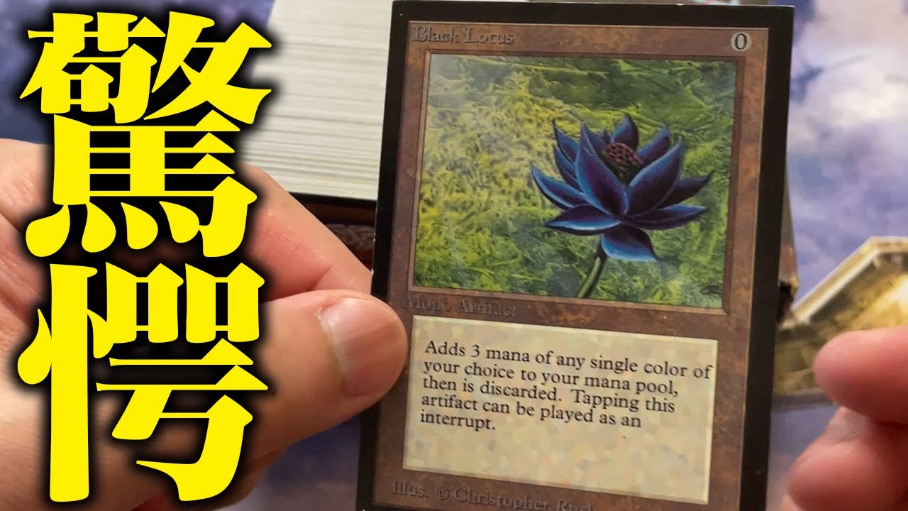 【至高】日本一MTGコレクターの最新コレクションがヤバすぎました... EIHO MAGIC COLLECTION 2025【MTG】