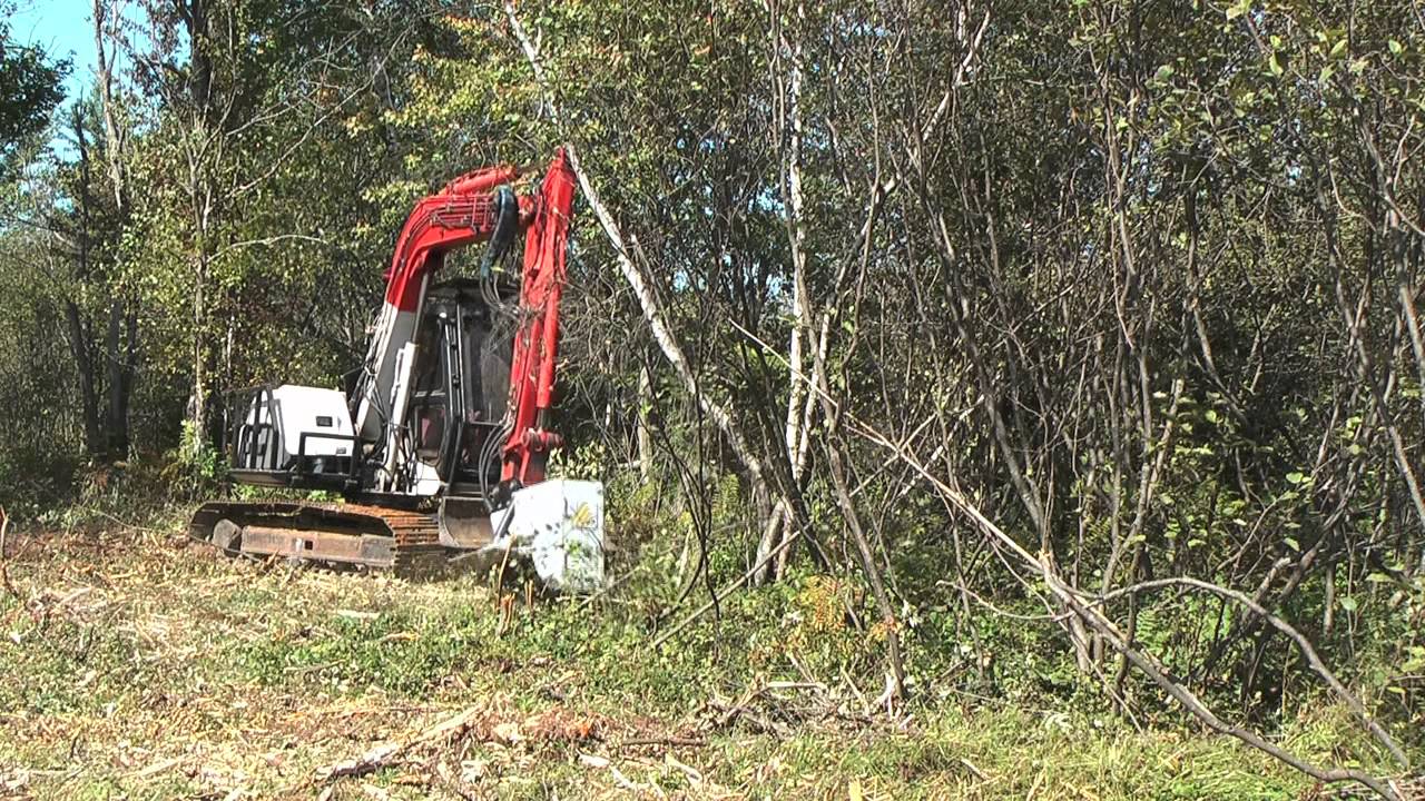 Forestry Brushcutter Mulcher DAH-080C on Link-Belt Quantum 1600