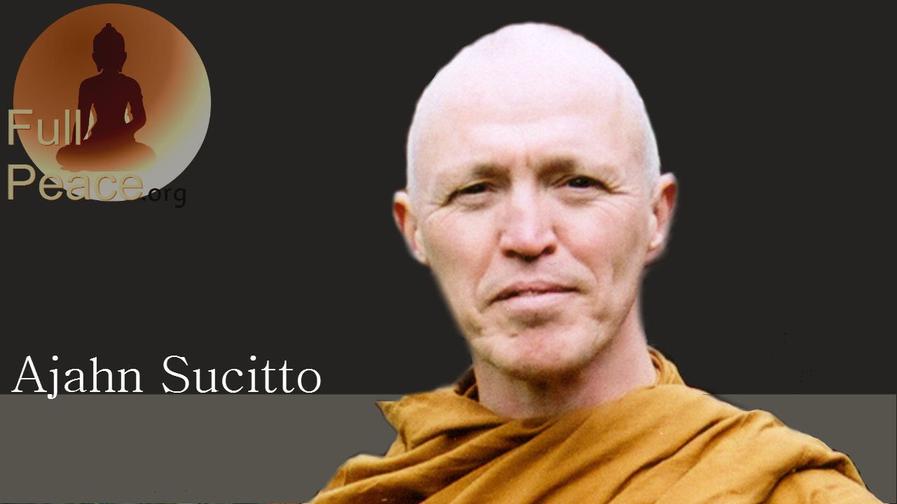 Insight wisdom - Ajahn Sucitto