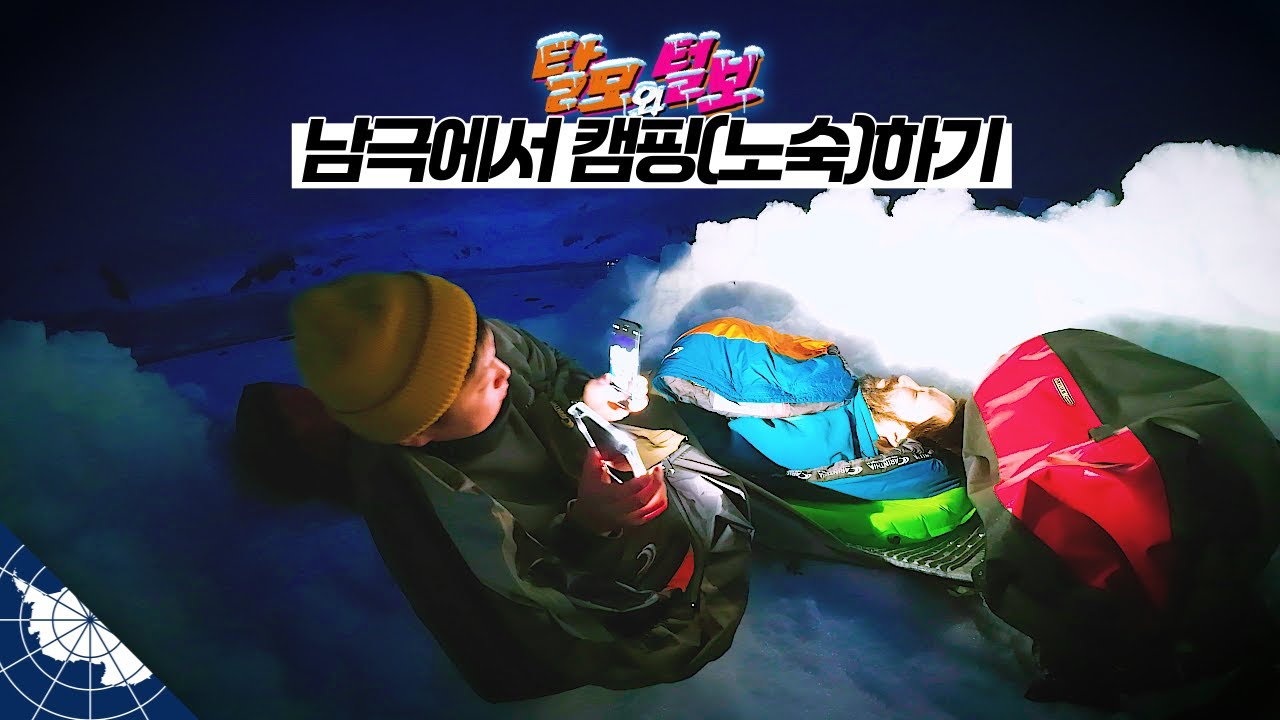남극에서 신나게 바다수영, 캠핑, 카약 즐기기 【남극4】