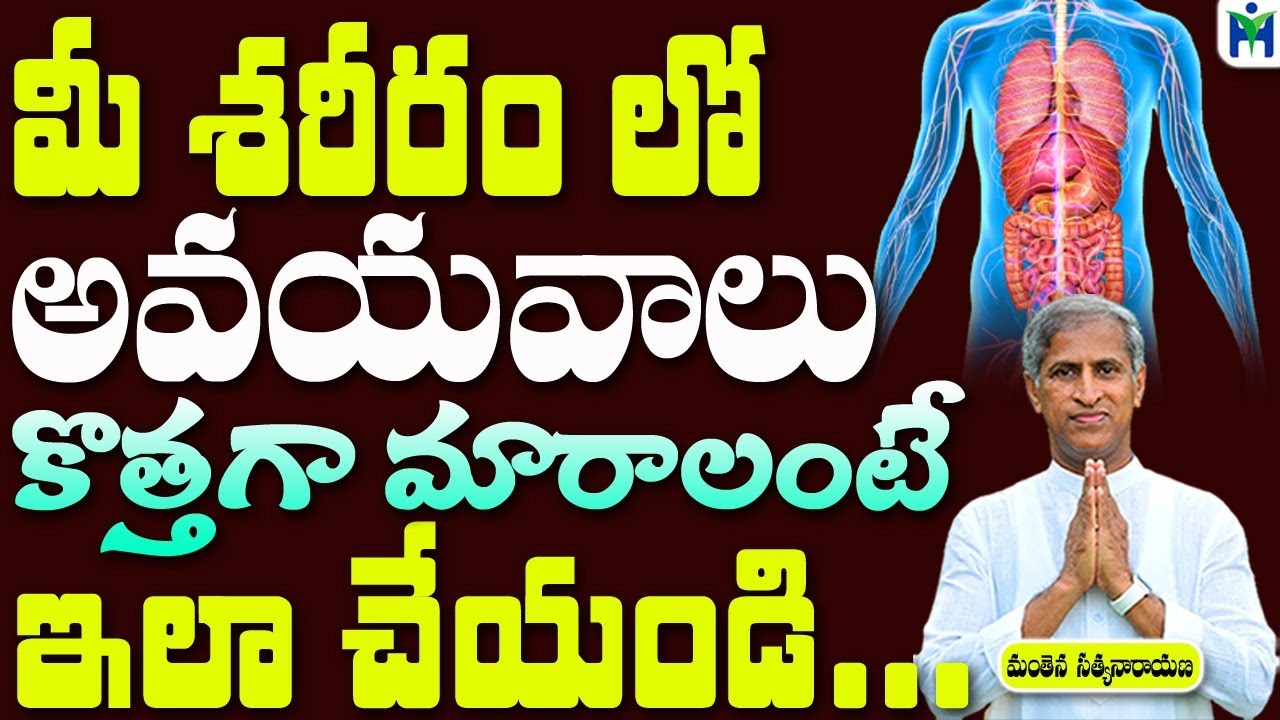 మీ శరీరం లో అవయవాలు కొత్తగా మారాలంటే ఇలా చేయండి|Manthena Satyanarayana Raju Videos |Health Mantra|