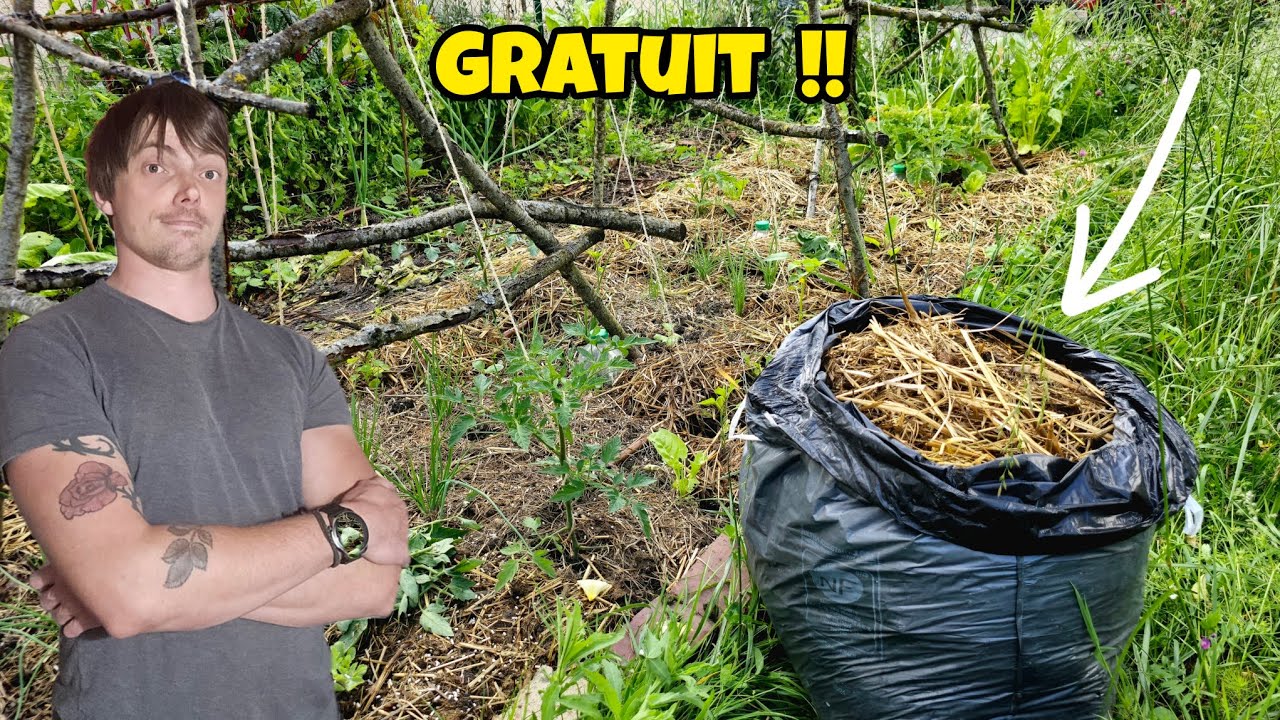 Comment avoir du PAILLAGE GRATUIT en illimité au POTAGER