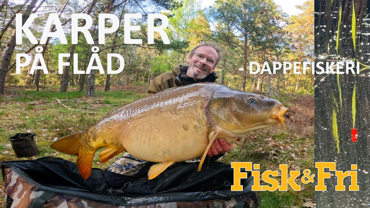 KARPER PÅ FLÅD [ENG SUBS]