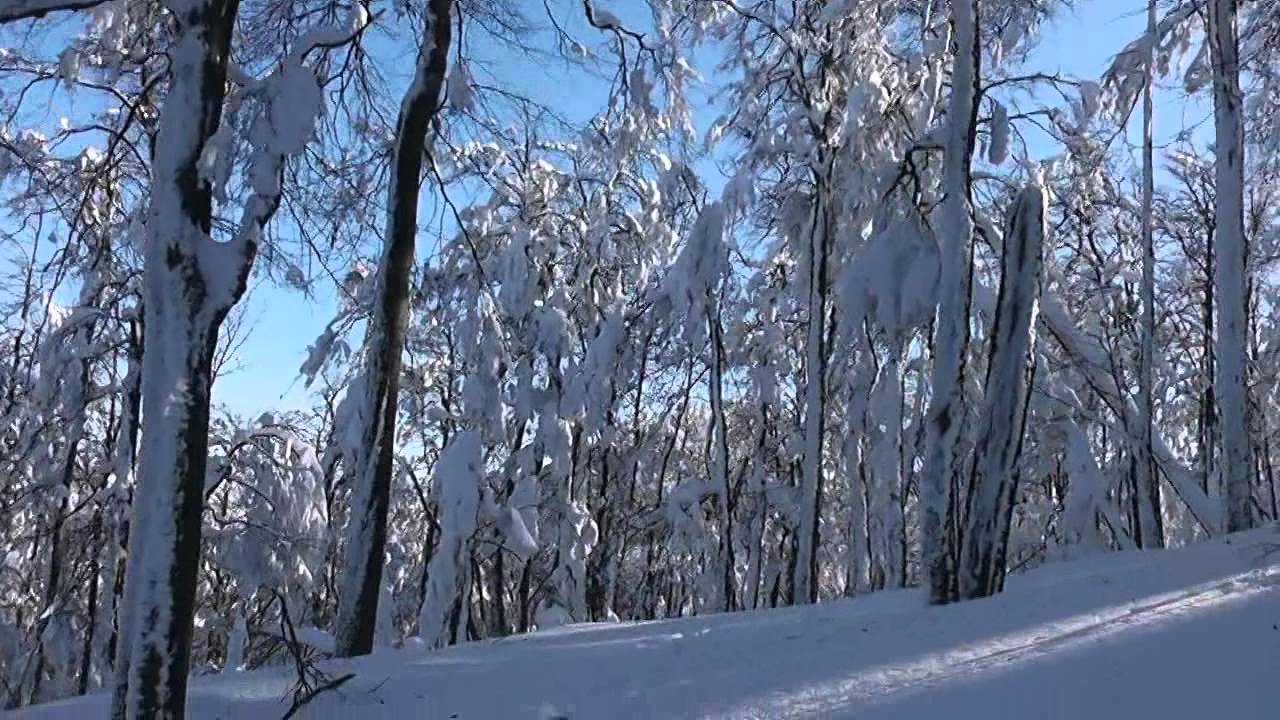 Strážov 2.2.2012