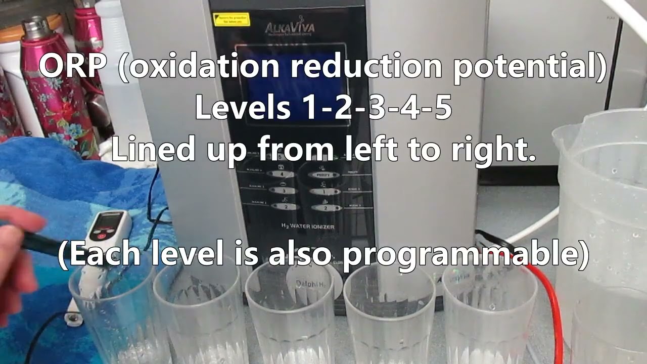 Installing & Testing the Delphi H2 Water Ionizer