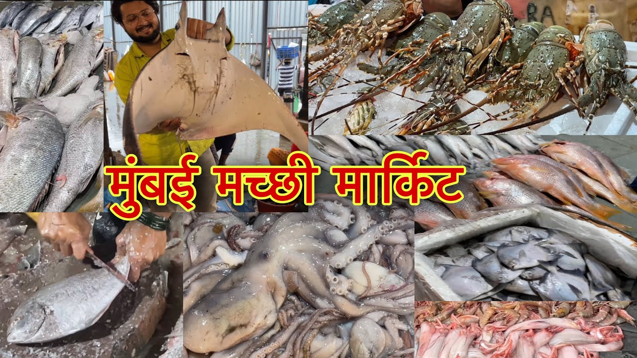 मुंबई Fish Market Full tour | Fish Market 2022 | Wholesale Fish Market | Biggest Fish Market MUMBAI
