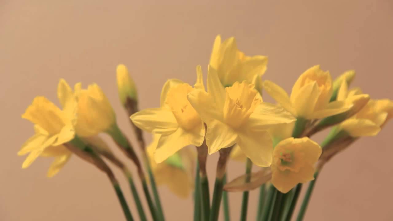 Tinka Kleffner & Martyn Schmidt: 