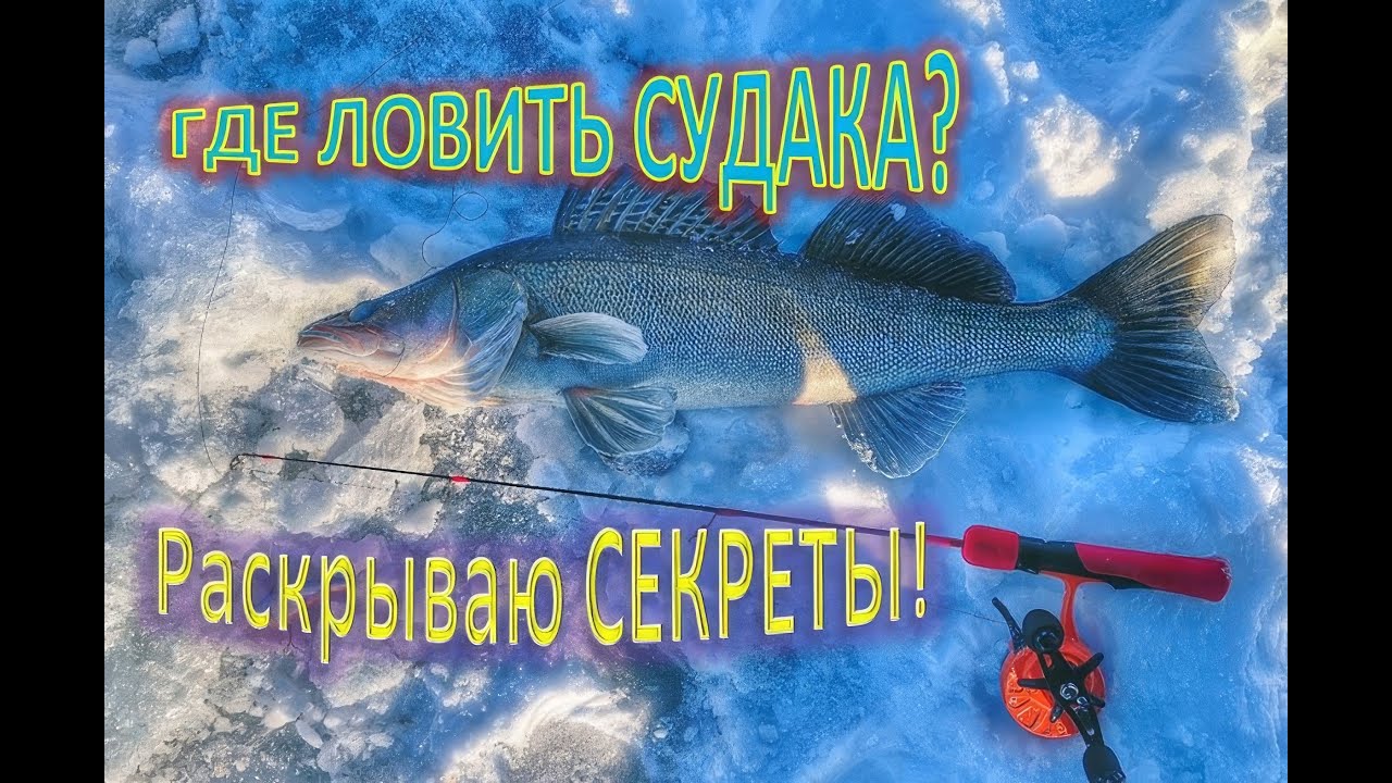 ГДЕ ЛОВИТЬ СУДАКА? РАСКРЫВАЮ СЕКРЕТЫ!