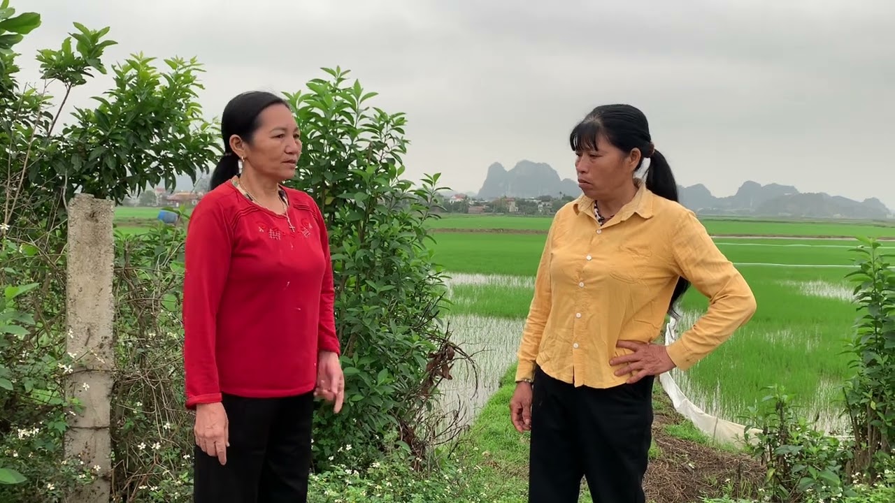 Hai mụ lươn lẹo bàn mưu tính kế lấy hết ruộng nhà thắng 