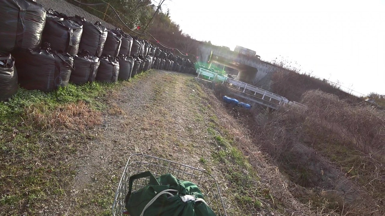 Nature Wonderland; looking for a new wild vine spot and checking a forest on the way 20260311