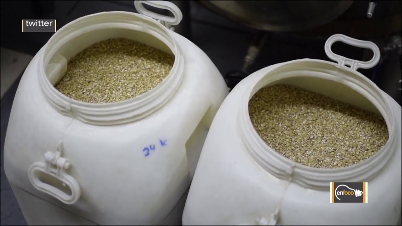El secreto para elaborar la perfecta cerveza artesanal #EnFoco #CienciaYCerveza