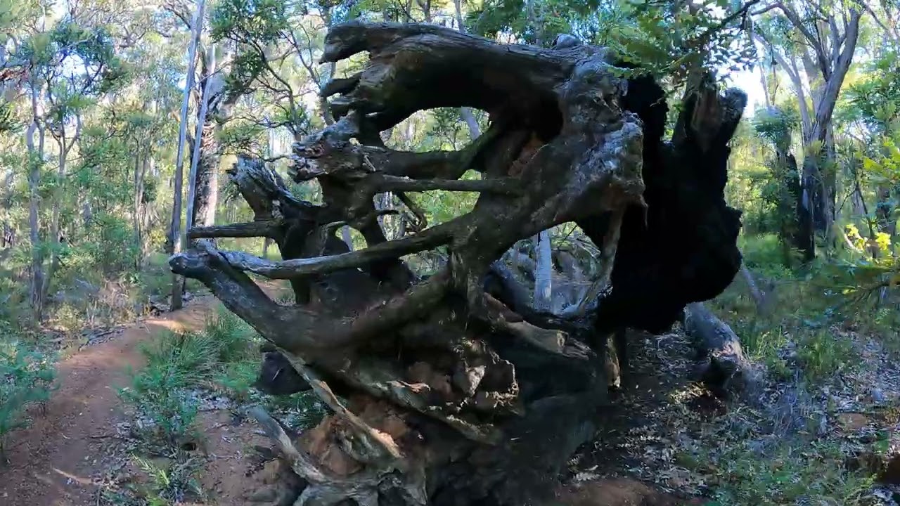 Pickering Brook Walk. Perth Hills, Western Australia.