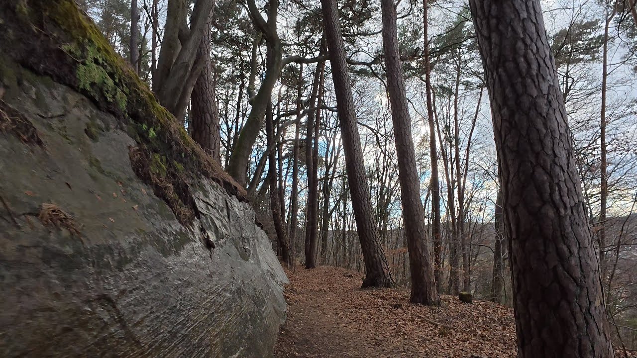 40 minute MTB Trail Indoor MTB Workout Garmin 4K Video