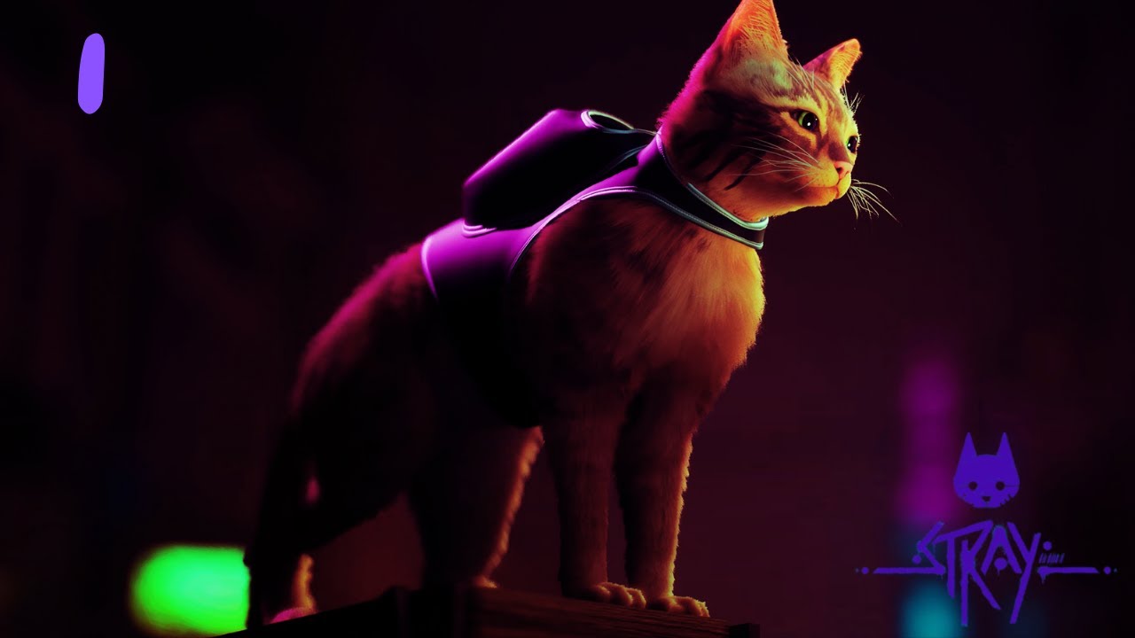 Stray #1 - Un chat dans un monde post-apo ?