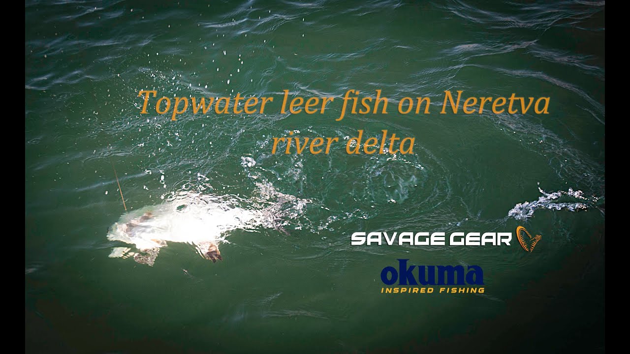 Topwater leer fish on Neretva river delta Panic Prey V2/ Top Prey 100