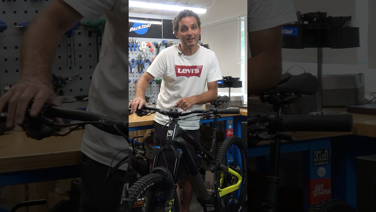 Abbiamo veramente bisogno della Ebike?