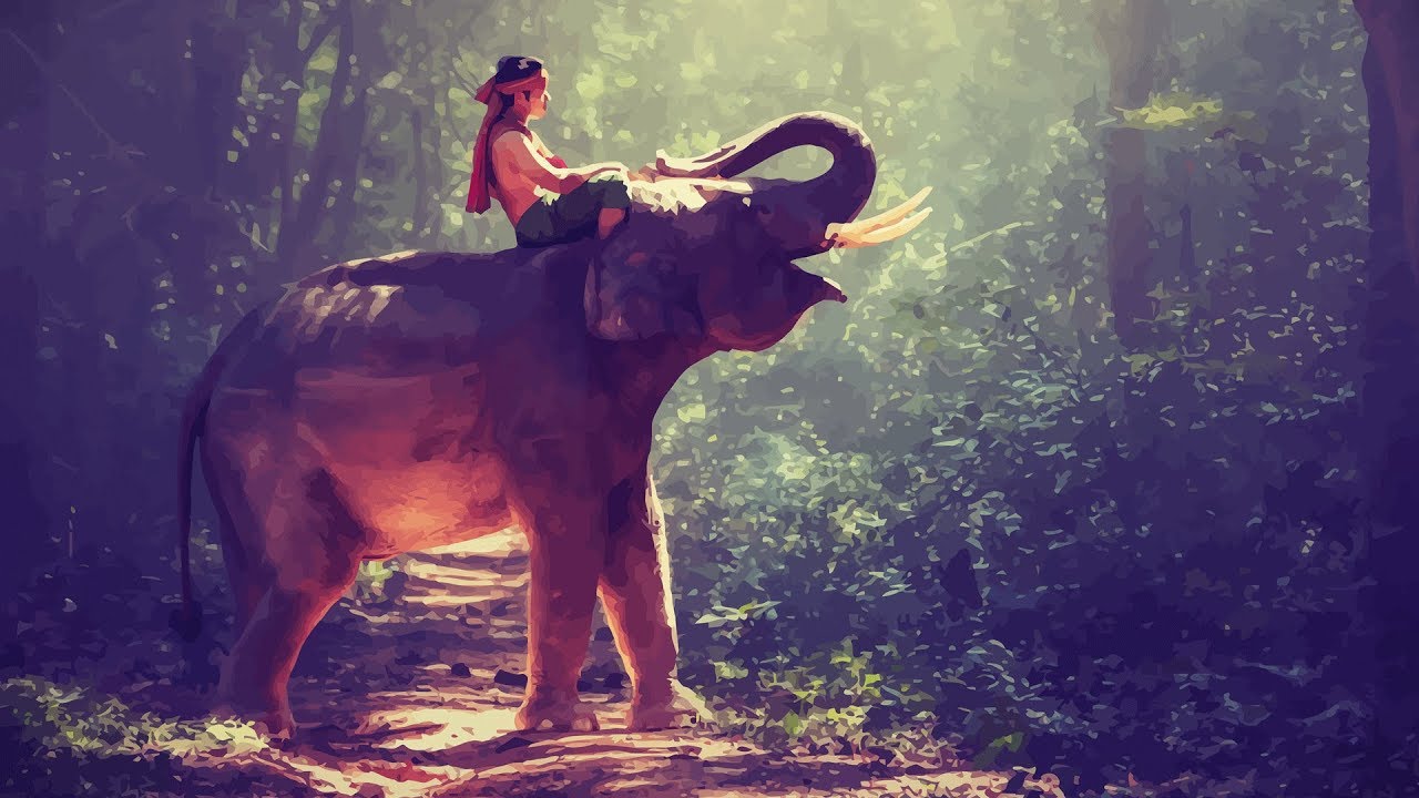Filosofia do Judô Kodokan #03: As duas grandes forças: o menino e o elefante | Desafio Kyoei