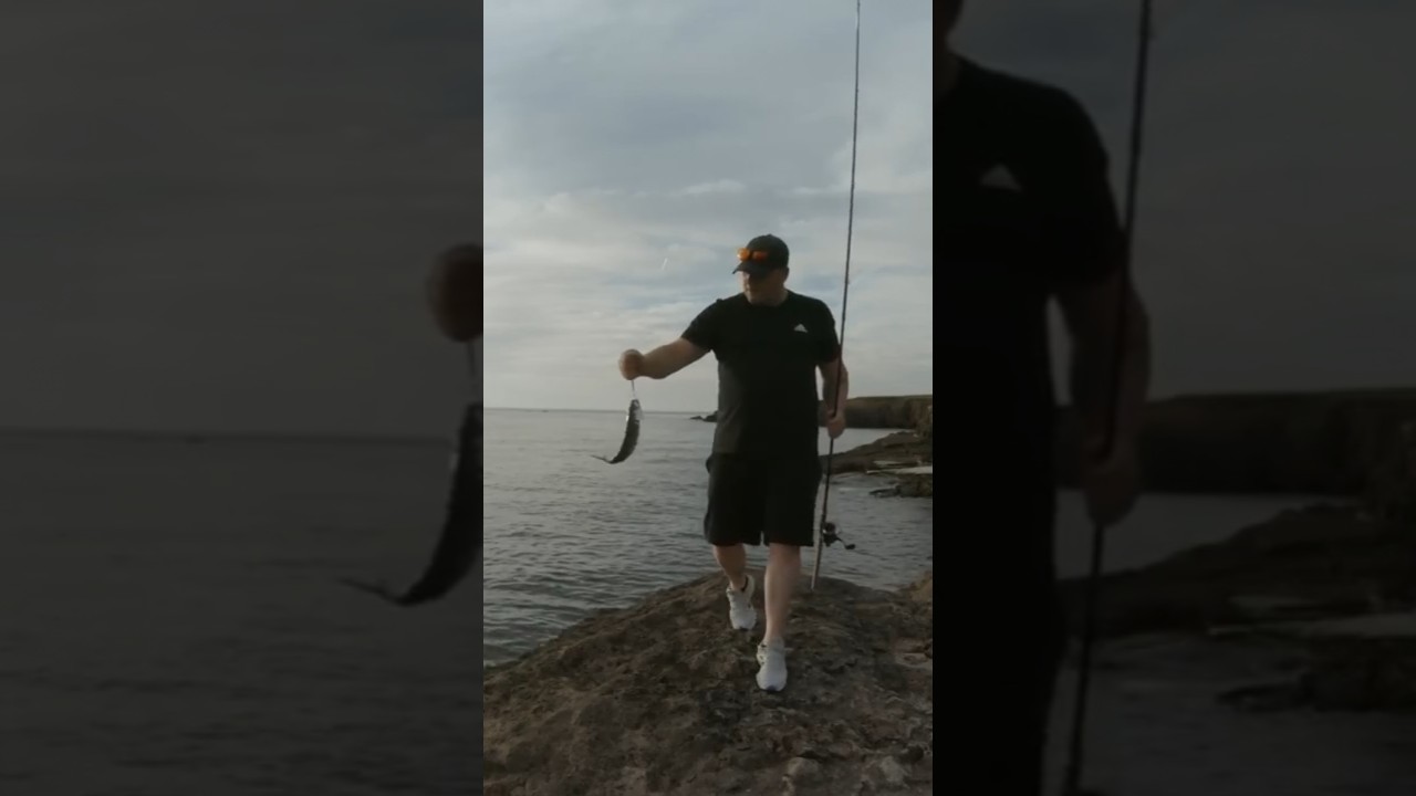 how to catch mackerel, tips for beginners.