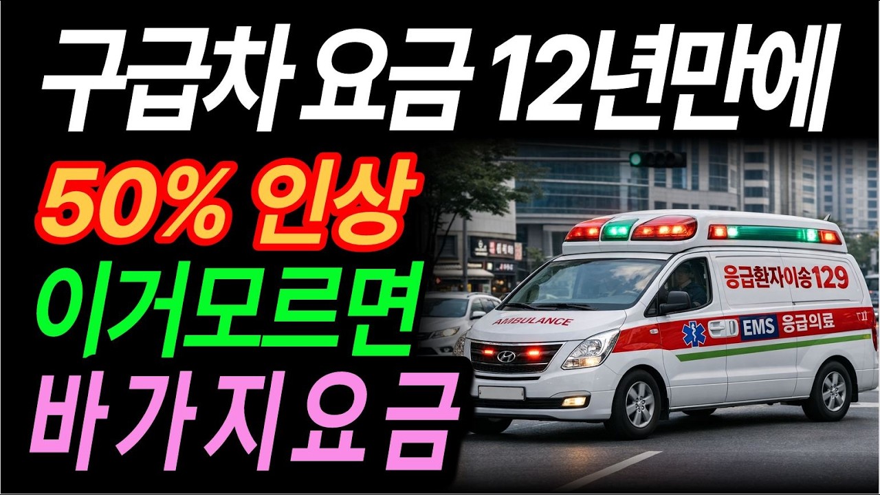 민간구급차 요금 12년 만에 인상! 119 vs 129 차이부터 비용 계산까지 완전정리