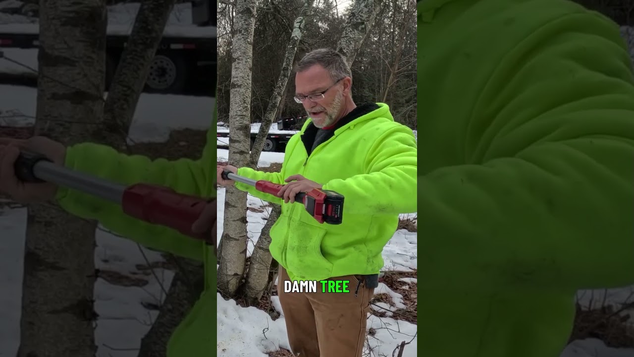 Storm Damage Tree Cutting