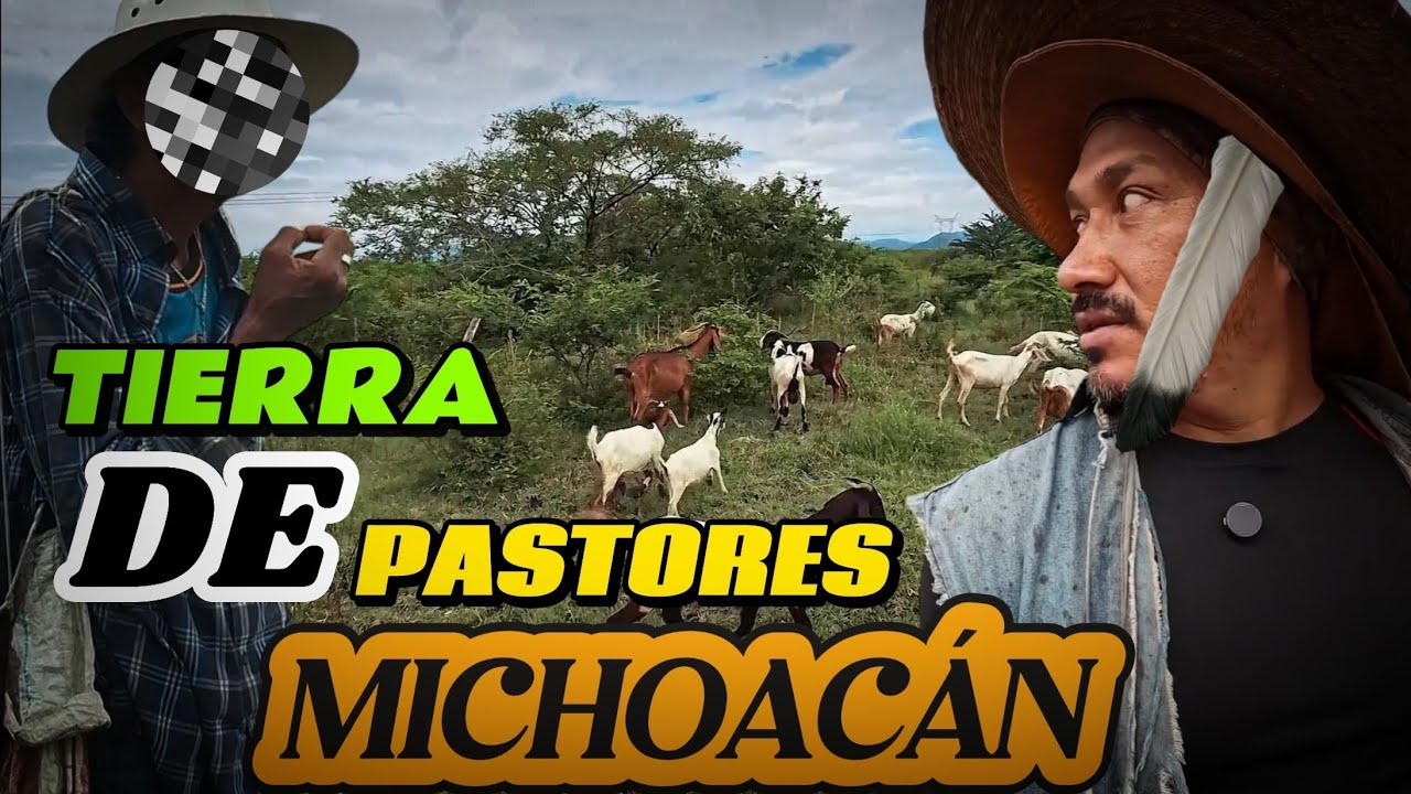 PASTORES de cabras o chivas Michoacán! de aquí sale la mejor BIRRA de México padre!