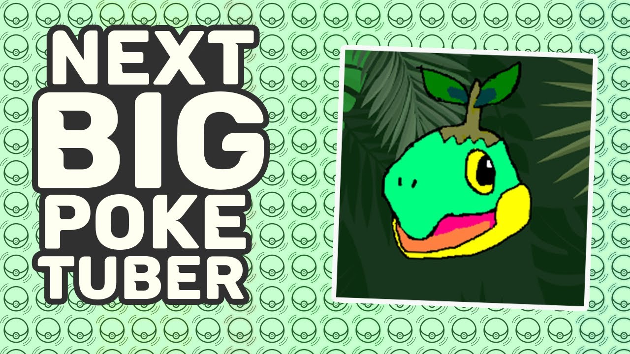 Twig387 the NEXT BIG POKETUBER