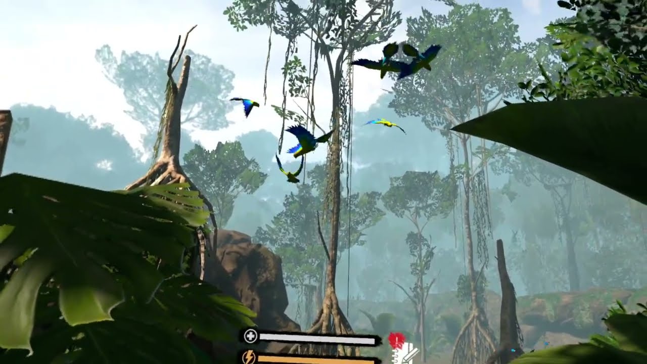 I Survived being left in the jungle!