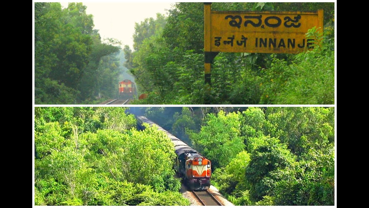 Konkan Railway : Trains ripping through haunted forest station on a rainy day..