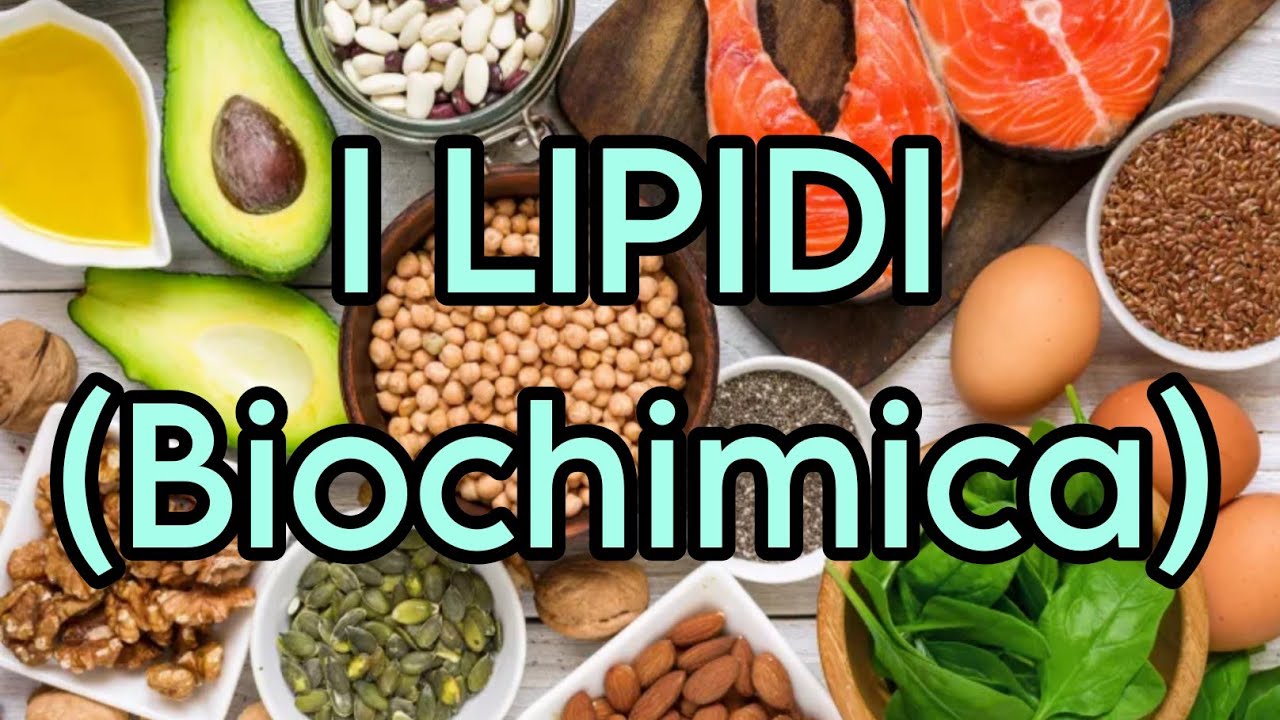I LIPIDI (biochimica, scuole superiori) Ripetizione x esame di stato