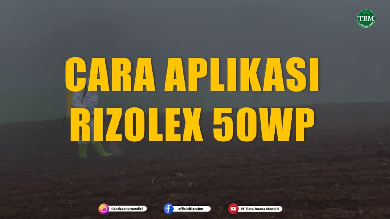 CARA APLIKASI RIZOLEX 50WP