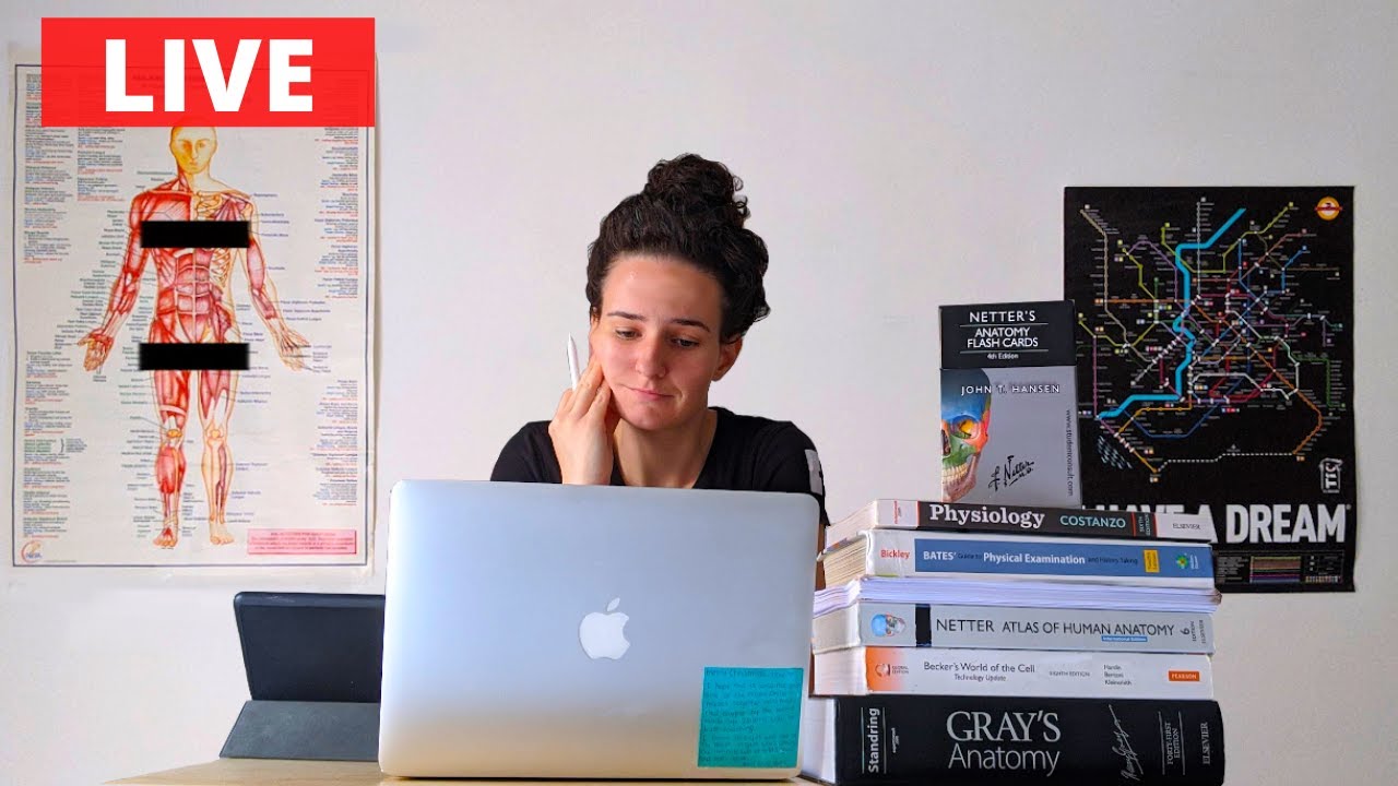 Study Livestream 30 minute Pomodoro (REAL TIME) || Stream Team
