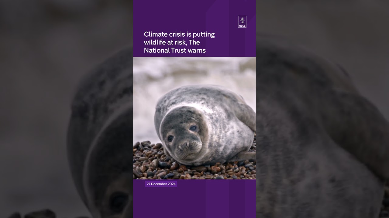 Climate crisis is putting wildlife at risk warns The National Trust