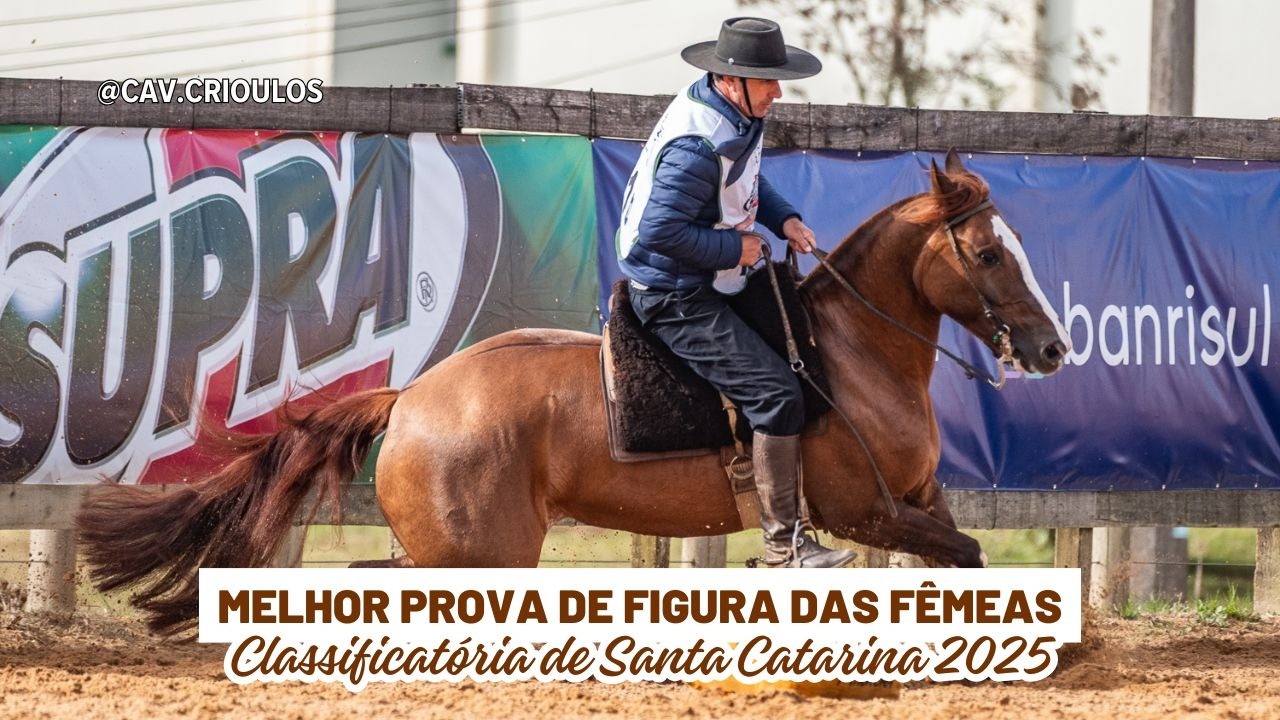 Caminera do Recanto • Melhor Prova de Figura das Fêmeas na Classificatória de Santa Catarina 2025