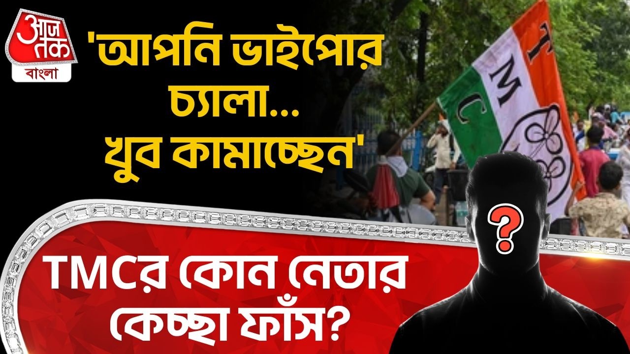 'আপনি ভাইপোর চ্যালা...খুব কামাচ্ছেন', TMCর কোন নেতার কেচ্ছা ফাঁস? Sukanta Majumdar | BJP | PN