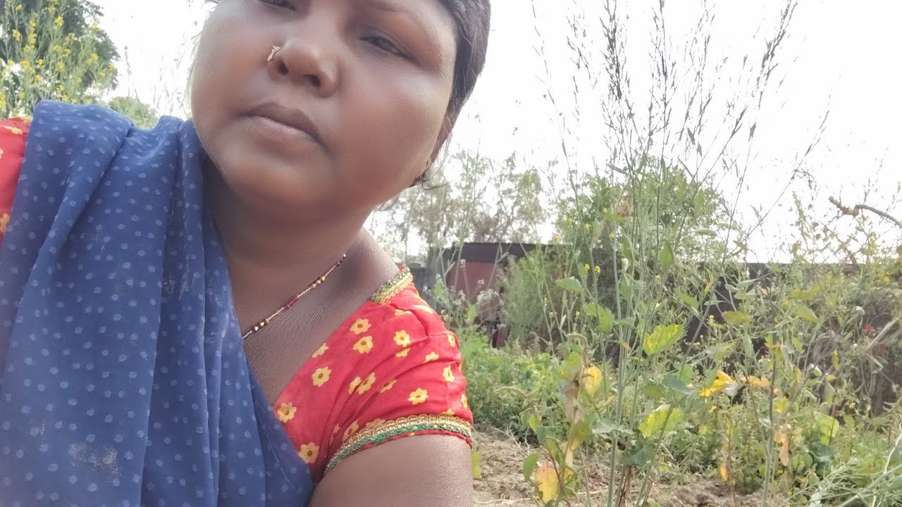 Gehu aur sarso ka baari #Gehu mein paani paatate  hue #tenudam ka paani #shorts# ytshorts# trending