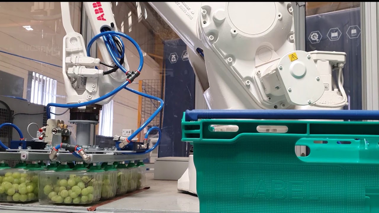 Robot Automation and Packaging, Pallet Stacking | RMGroup