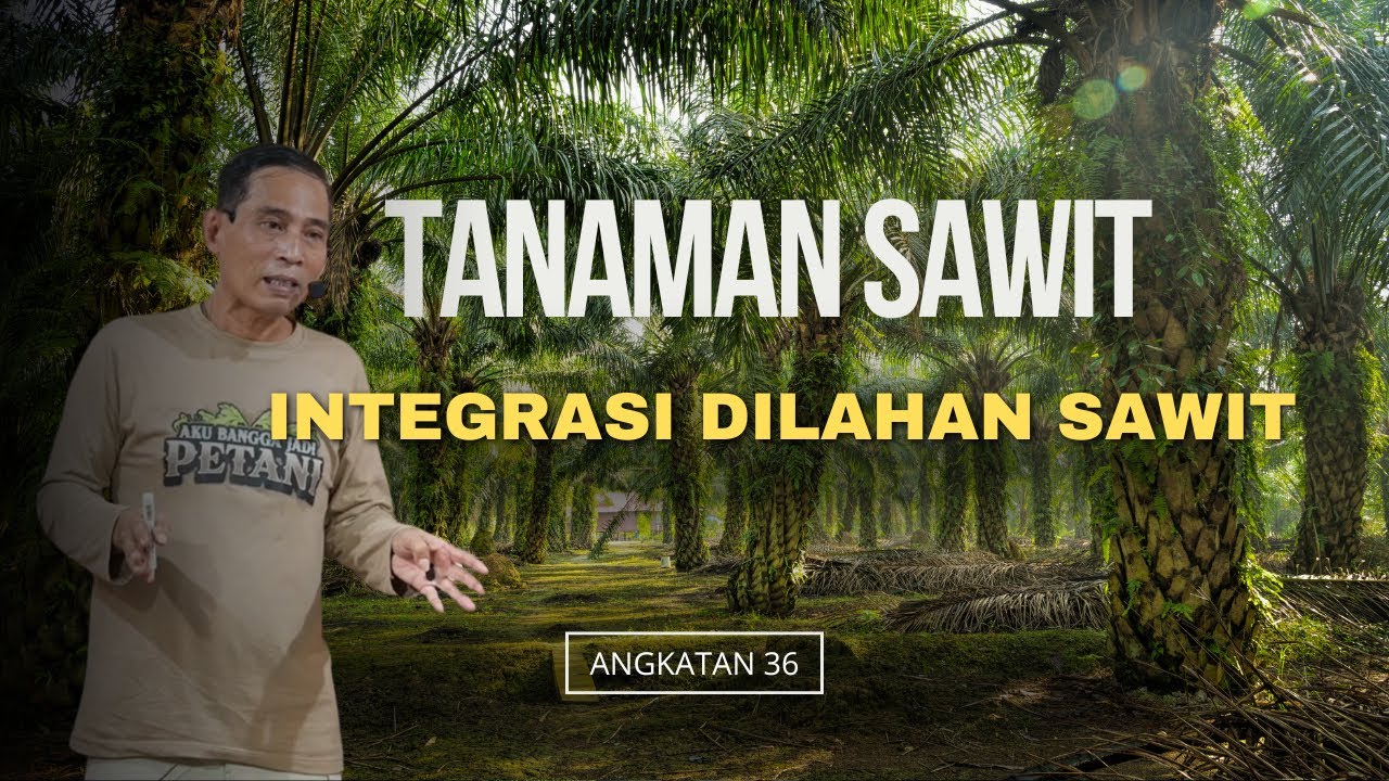 Integrasi Dilahan Sawit #bayudiningrat 