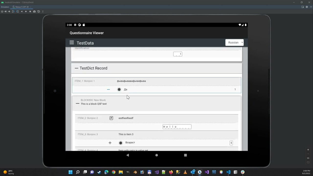 CSPro questionnaire viewer on Android