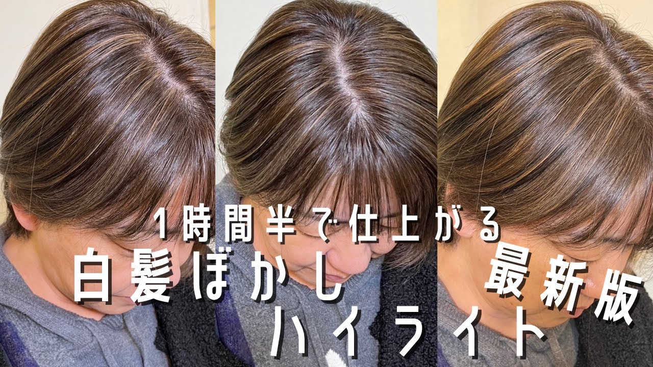 最新版！1時間半で仕上がる白髪ぼかしハイライトをわかりやすく解説！grayhaircolor 【埼玉県美容室プライベートサロン】