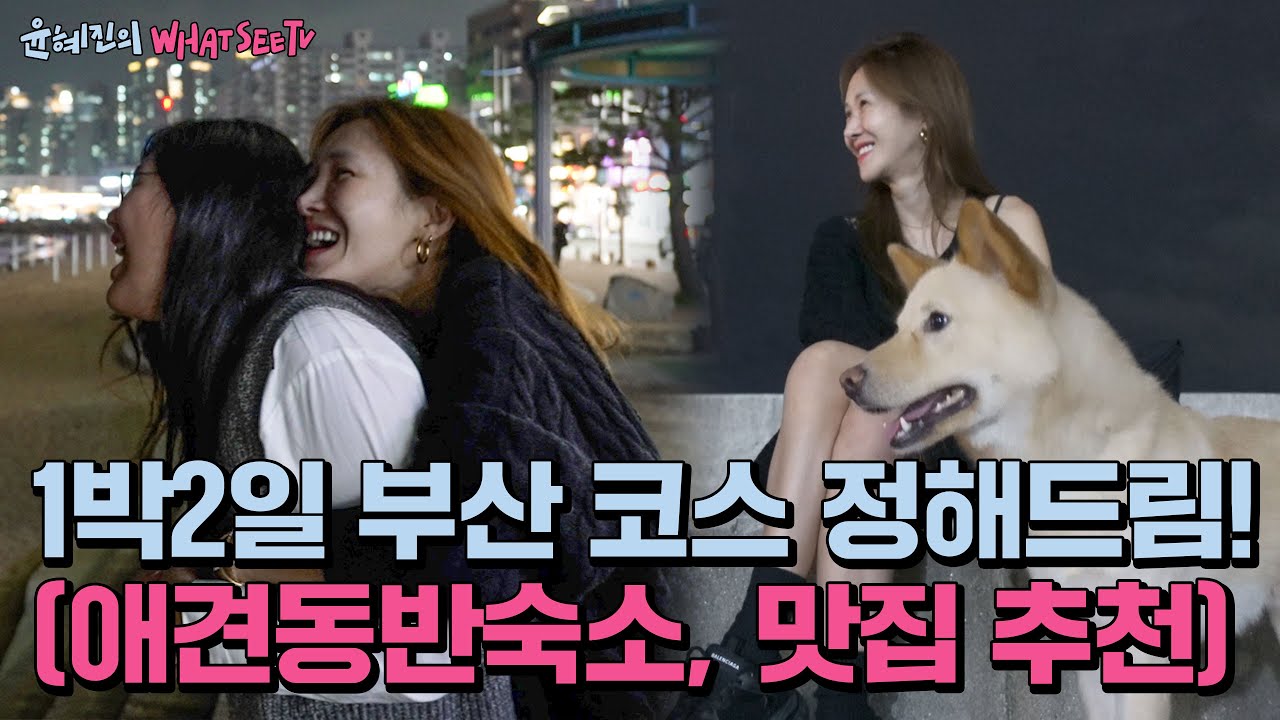 부산 브이로그인데 쿠키영상이 메인 되버림ㅋㅋㅋㅋㅋ큰거왔다!! (ENG) [윤혜진의Whatsee TV]